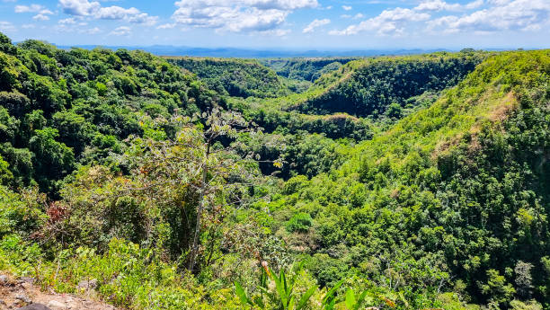 istock Panama, Los Molinos, deep canyon covered with dense tropical vegetation 1400165212