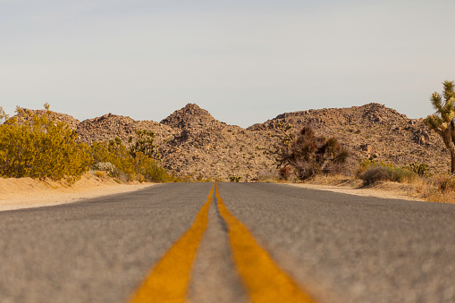 Road to the desert in Joshua Tree National Park