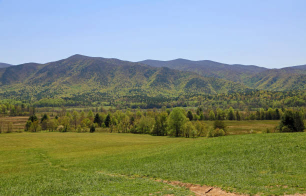 istock Great Smoky Mountains landscape 1400165365