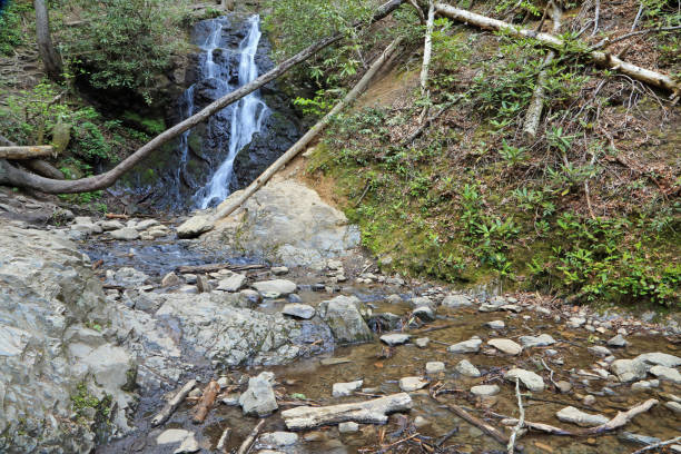 водопад катаракта  - waterfall great smoky mountains great smoky mountains national park tennessee стоковые фото �и изображения