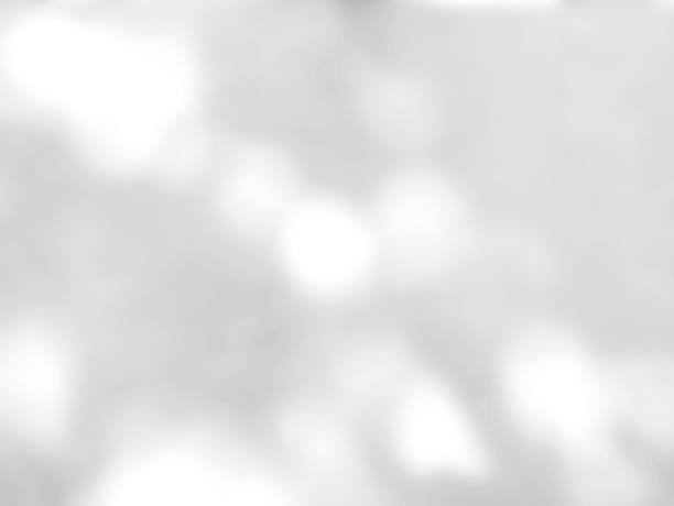 istock Abstract shadow of leaves on a white wall 1400170775