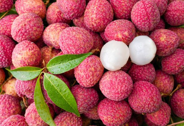 istock Pile Lychee Fruit With Little Leaf For Background. Summer Fruit Background. 1400176412