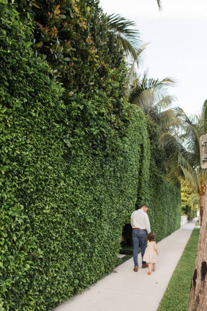 31-year-old american father walking down a sidewalk with his 3-year-old daughter while holding hands in palm beach, florida in the spring of 2022 - hedge multi ethnic group people holding hands imagens e fotografias de stock