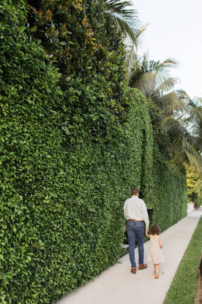 31-year-old american father walking down a sidewalk with his 3-year-old daughter while holding hands in palm beach, florida in the spring of 2022 - hedge multi ethnic group people holding hands imagens e fotografias de stock