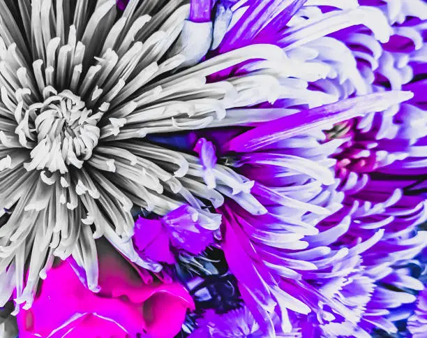 Abstract of flower bouquet.