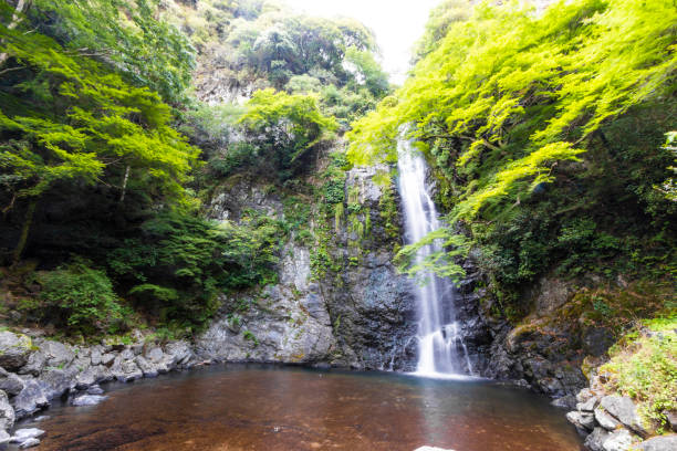 istock Mino waterfall in Osaka prefecture, Kansai, Japan. 1400180062