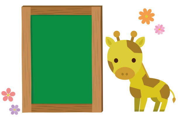 Blackboard and giraffe illustration Blackboard and giraffe illustration giraffe calf stock illustrations