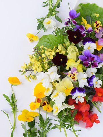 lots of edible flowers on white background