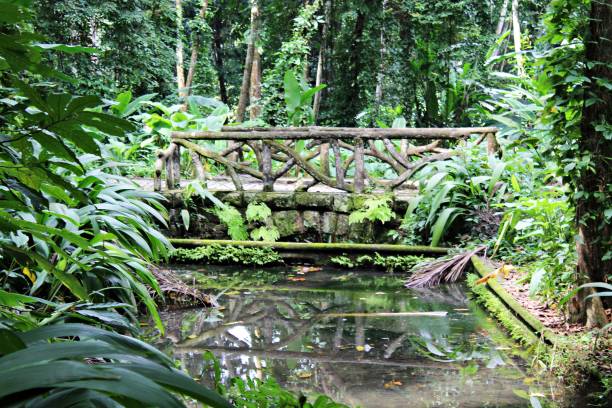 istock A bridge and a lake in the forest 1400190493