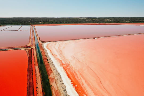 istock Hutt Lagoon salt lake 1400190524