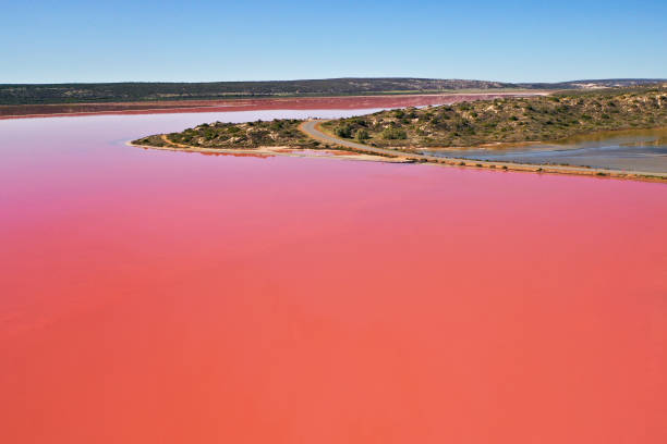 istock Hutt Lagoon salt lake 1400190548