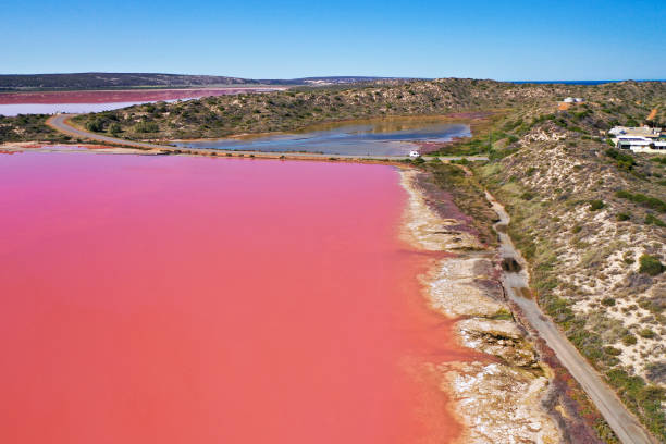 istock Hutt Lagoon salt lake 1400190564