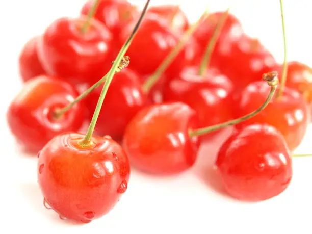 Lots of cherries on white background,
Made in Yamagata Prefecture.
Japanese fruits.