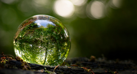 Crystal ball with nature inside. Showing nature outside and inside and remember to take care of nature. Ready for presentation material.