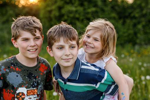 Portrait of three siblings children. Two kids brothers boys and little cute toddler sister girl having fun together on flowers meadow. Happy healthy family playing, walking, active leisure on nature.