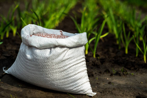 un sac blanc avec des engrais en gros plan sur le fond des semis sur un lit de terre. arrière-plan. focalisation sélective - gardening vegetable garden action planting photos et images de collection