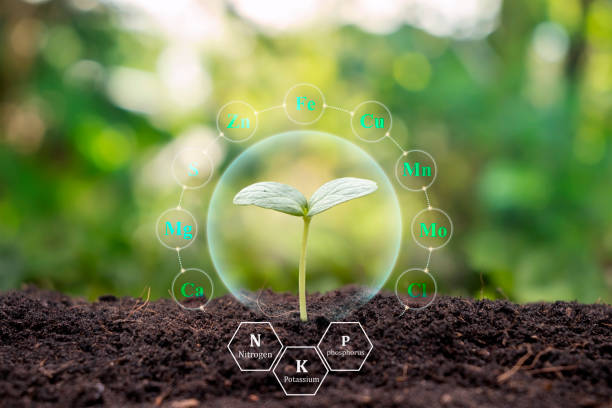 istock Tree growing on soil with plant growth factor icon eco concept earth day card protect the environment. 1400202577
