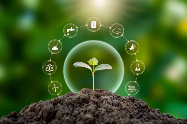 istock Tree growing on soil with plant growth factor icon eco concept earth day card protect the environment 1400202581