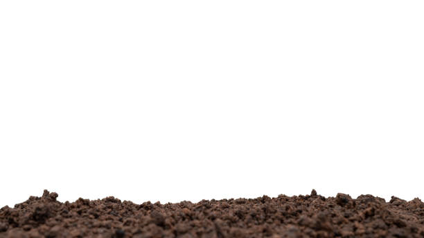 istock fertile soil or isolated mound of soil on a white background. 1400202592