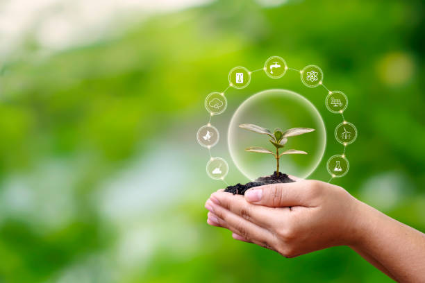 istock Sapling growing on soil in farmer's hands and plant growth factor icon, afforestation, and forest conservation concept. 1400203733