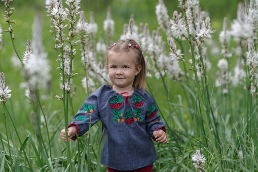 Little girl in meadow wild flowers in bloom in the Ligurian Alps, Italy