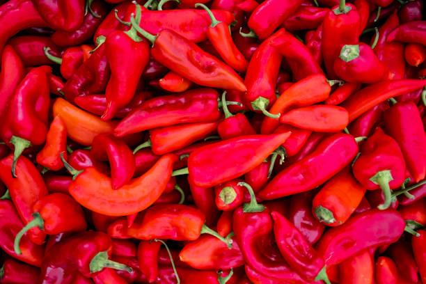 red hot chili peppers - agriculture cooking food eating foto e immagini stock