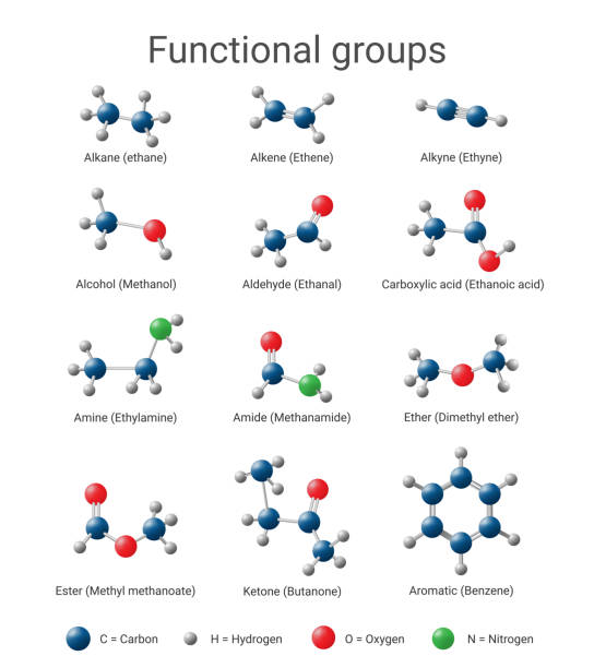 Functional groups commonly found in organic chemistry. Structural formula, organic chemical. Concept for basic chemistry, education. Vector illustration Functional groups commonly found in organic chemistry. Structural formula, organic chemical. Concept for basic chemistry, education. Vector illustration nitrogen element stock illustrations