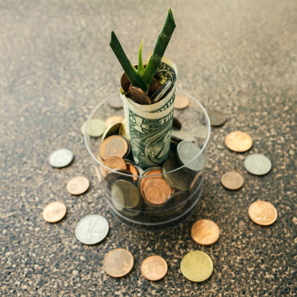 istock Plant growing in jar with coins and one dollar banknote 1400207350