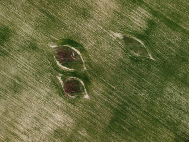 田舎のパワーパイロンのある緑の小麦畑の航空写真。夕暮れ時に風に吹かれる小麦畑。自然界の大麦作物の穂。農学、産業、食糧生産 - barley wheat grass green ストックフォトと画像