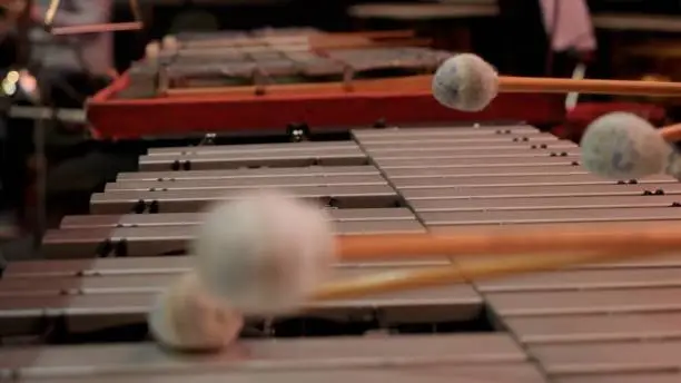 Photo of Man playing xylophone with nice drumstick. Human hands playing a glockenspiel close-up