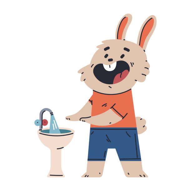 малыш кролик мыть руки вектор мультфильм гигиена концепция иллюстрации выделен на белом фоне. - rabbit pets baby rabbit white background stock illustrations