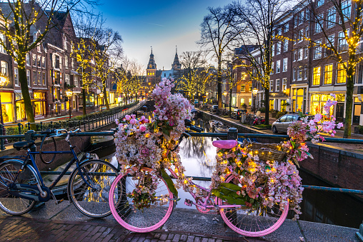 Pink flower bike on a bridge in Amsterdam, Netherlands.LBGTQ