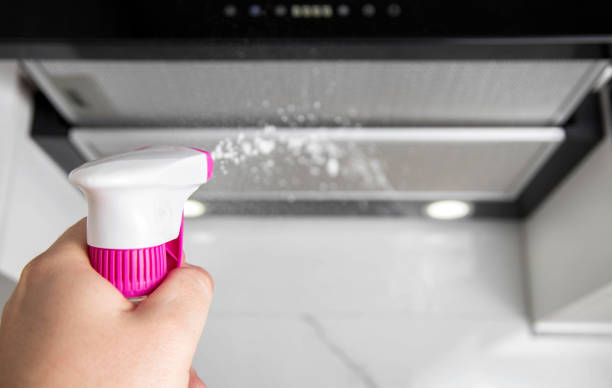 очистка жирофильтров кухонной вытяжки специальным моющим средством. удаление запахов и жира. - ionization стоковые фото и изображения