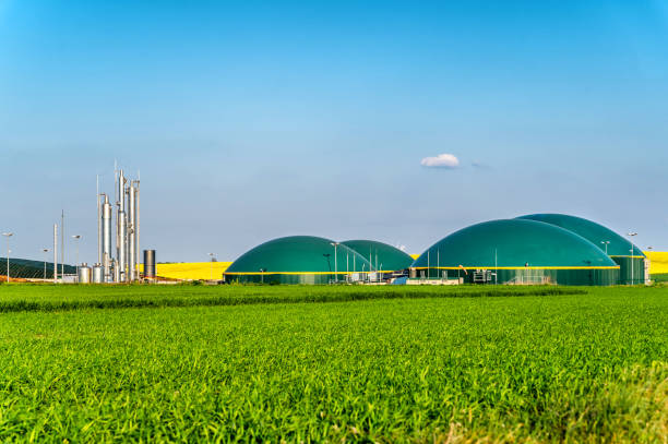 moderne biogasanlage zwischen mehreren feldern im ländlichen raum - biomasse erneuerbarkeit fotos stock-fotos und bilder