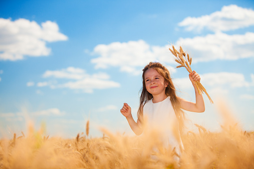 Cute little girl in summer field. Happy girl walking in golden wheat, enjoying the life. Nature beauty, blue sky and field of wheat. Freedom concept.