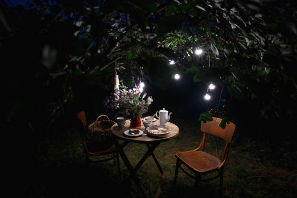 istock tea party in the garden 1400221346