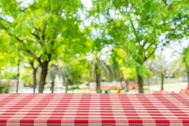 istock Empty picnic table with blanketin a public park 1400221818