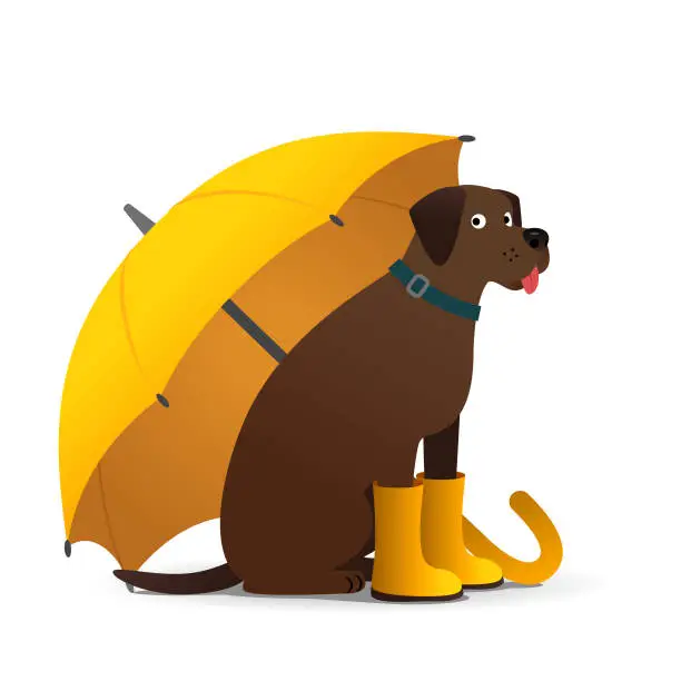 Vector illustration of Dog sitting under umbrella