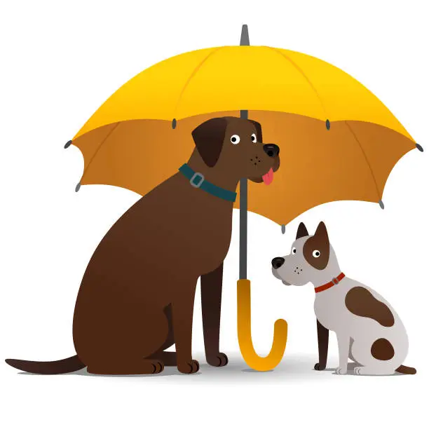 Vector illustration of Two dogs sitting under umbrella