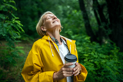 Female Hiker in a yellow raincoat exploring forest drinking hot drink