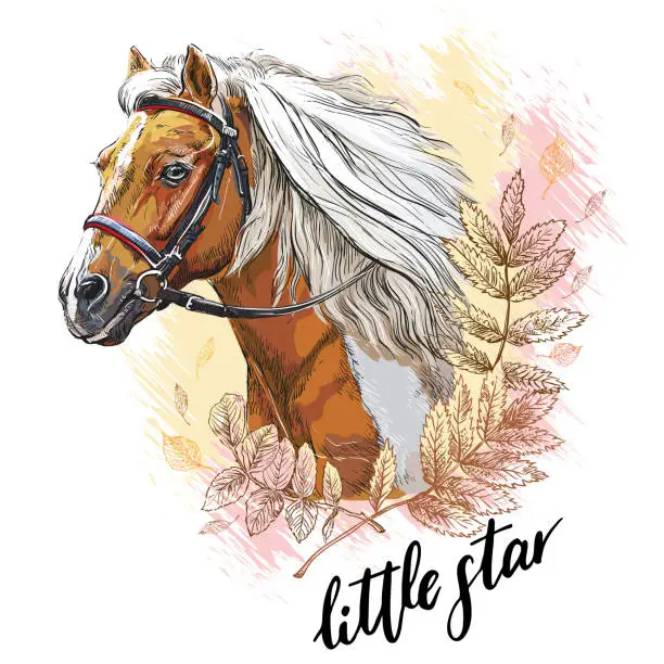 Vector illustration of Portrait of a horse and leaves vector hand drawn illustration