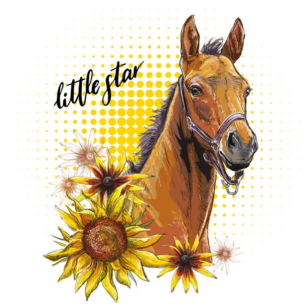 Vector illustration of Portrait of a foal and flowers vector hand drawn illustration