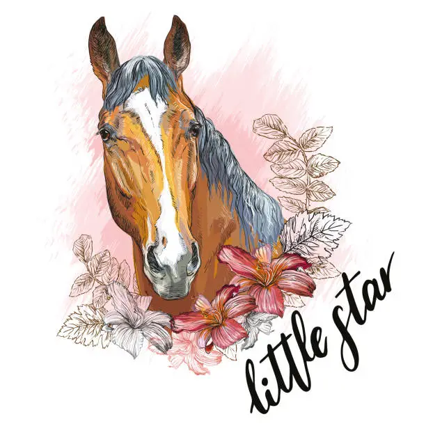 Vector illustration of Portrait of a bay horse and flowers vector illustration