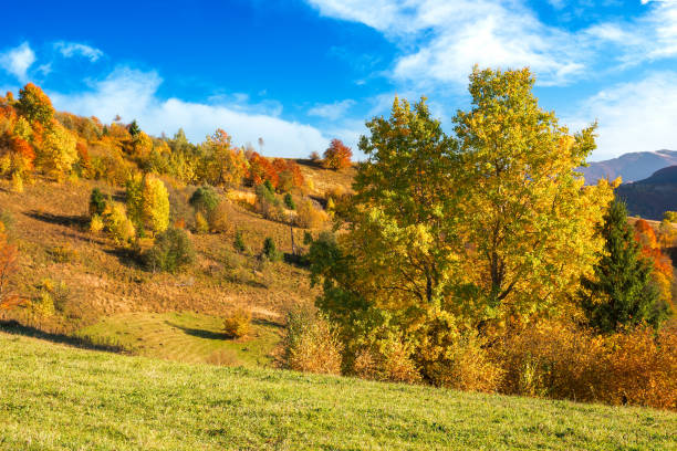 istock carpathian rural landscape in autumn 1400232168