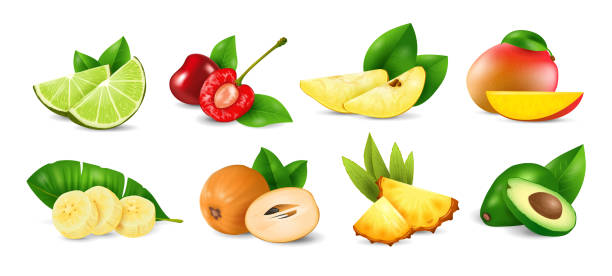 Set of Exotic Fruits, realistic design vector illustration - ilustração de arte vetorial