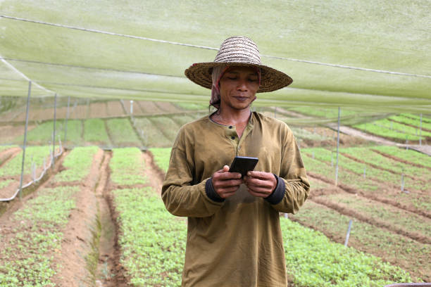 agricultura - etnia indonésia - fotografias e filmes do acervo