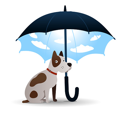 Dog sitting under umbrella