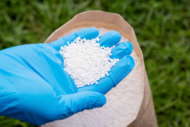 istock Hand in glove holding nitrogen fertilizer 1400234621