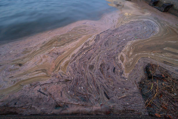 istock Garbage carried by sea currents merges into beautiful art. 1400235794
