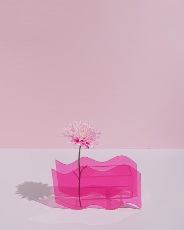 Bright pink wavy shaped vase with pastel summer flower. Fun trendy, romantic aesthetic.